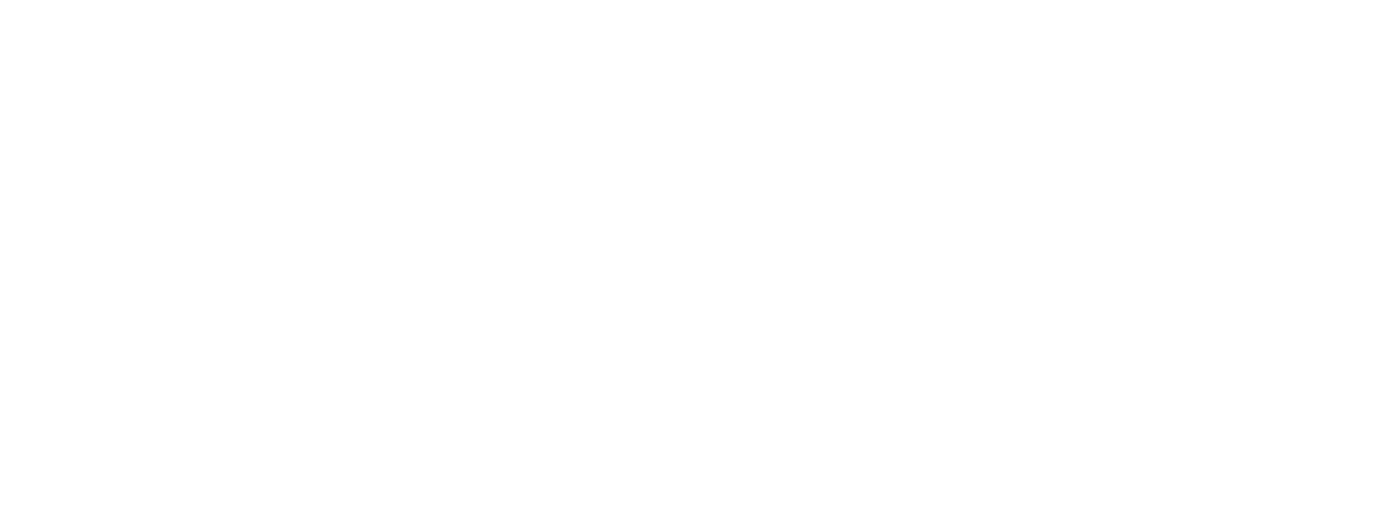 Carl Centric Logo